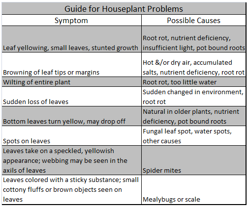 Houseplant Problems