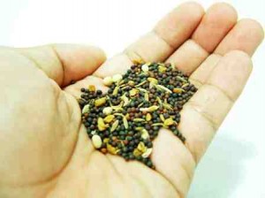 Four Ways to Utilize Your Extra Garden Seeds