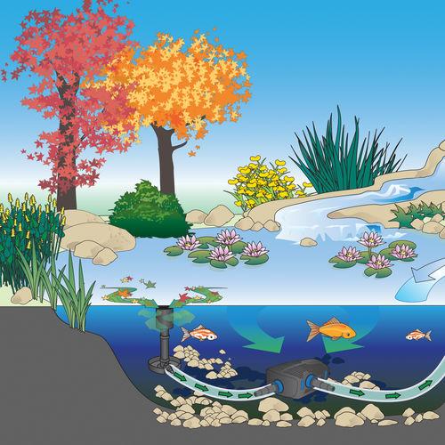 Atlantic® Oase AquaSkim