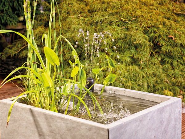 AtlanticĀ® Oase FiItral UVC with Pump