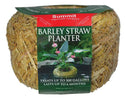 Clear-Water® Barley Straw Planters