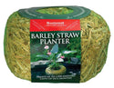 Clear-Water® Barley Straw Planters
