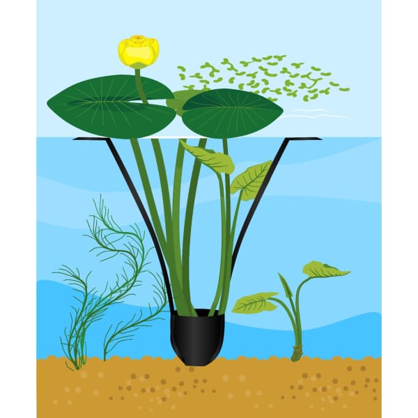 floating pond plant pots PondSling Aquatic Pot with Long Floating Handles