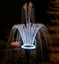 LED Light Ring with Fountain Head