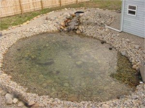Planning for a Successful Pond