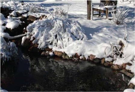 Preparing Your Pond for Fall and Winter