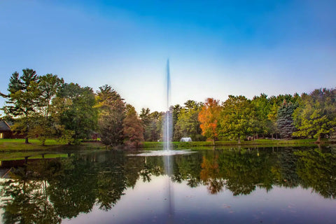 Pond & Lake