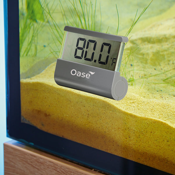 Oase Digital Thermometer