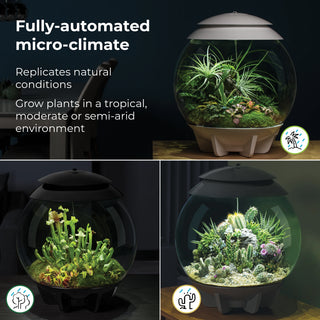 biOrb AIR LED Terrariums