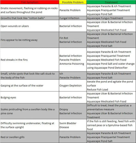 Pond Fish Diseases Symptoms and Their Treatments