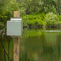 Kasco® Home Series Diffused Aeration