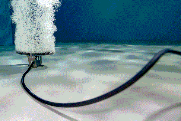Kasco® Home Series Diffused Aeration