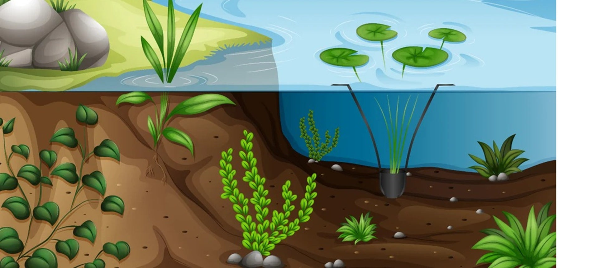 Introducing the PondSling™