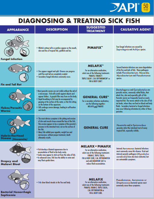 Diagnosing & Treating Sick Fish