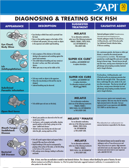 Diagnosing & Treating Sick Fish