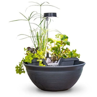 Aquascape® AquaGarden Tabletop Fountain Kit - Steel Gray