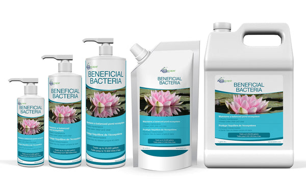 Aquascape® Beneficial Bacteria for Ponds/Liquid