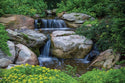 Aquascape® DIY Backyard Waterfall Kit