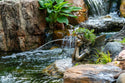 Aquascape® Fairy Planter Spitter