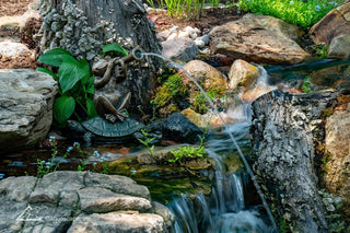 Aquascape® Jazz Frog Spitter