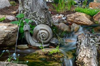 Aquascape® Silly Snail Spitter