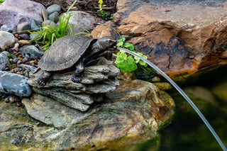Aquascape® Turtle On Log Spitter