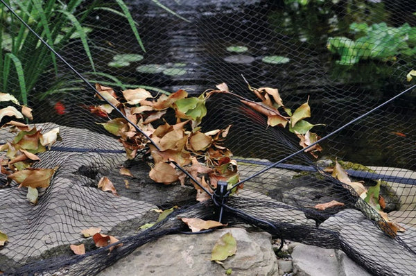 Pond and Garden Protector