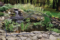 Pond and Garden Protector
