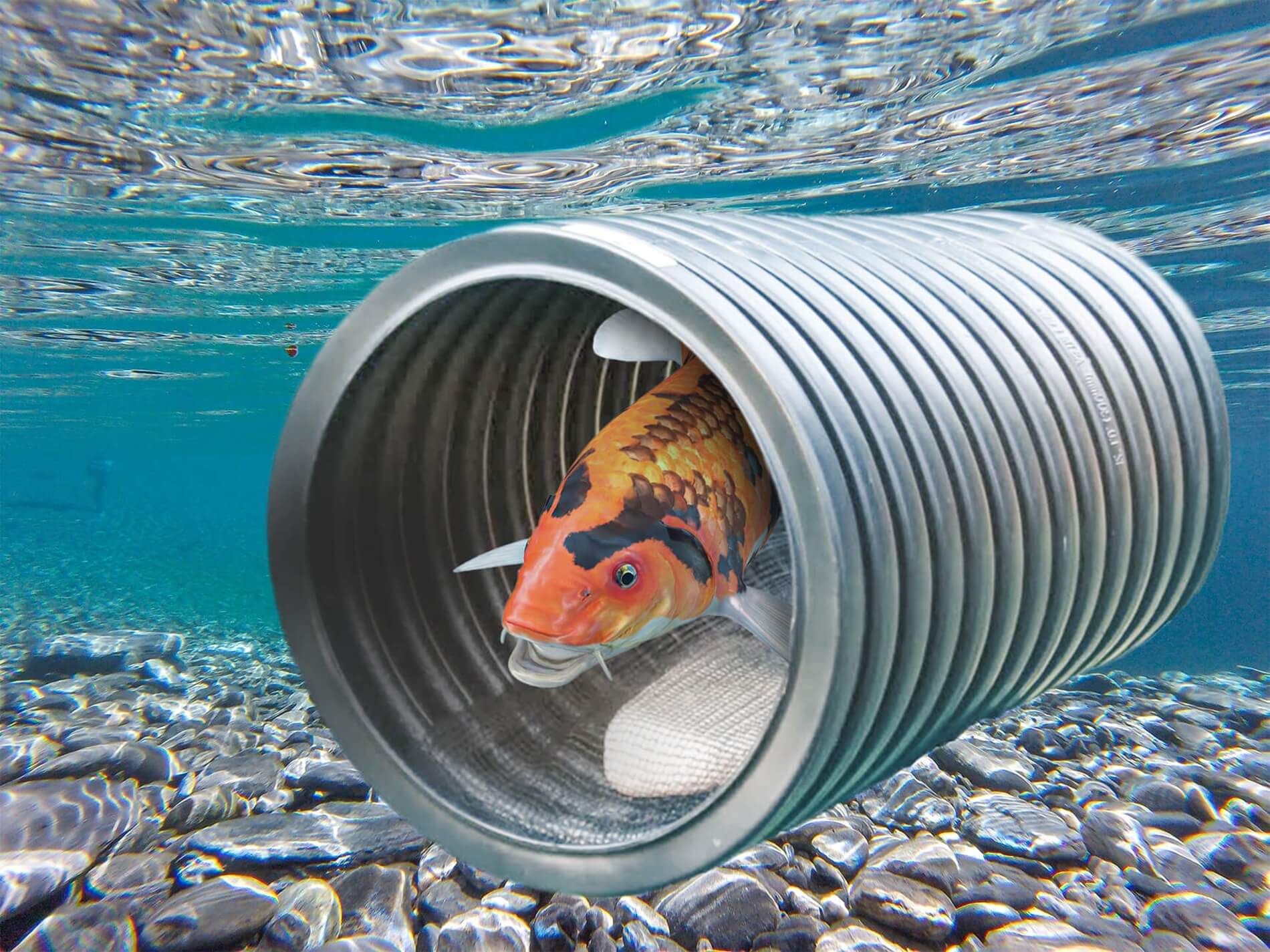 Best Planet Koi Cave