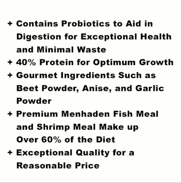 Blackwater Gold-N Professional Diet Fish Food - Fish Food