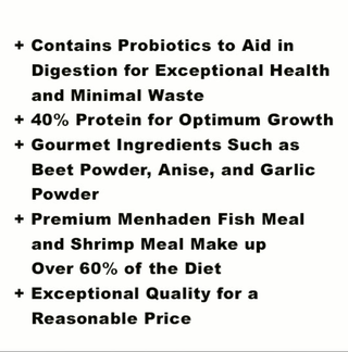 Blackwater Gold-N Professional Diet Fish Food - Fish Food