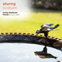 Bronze Birdbath with Bird Decoration - Birdbath