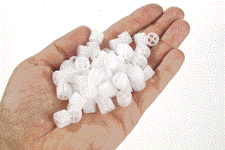 Evolution Aqua K1 Media