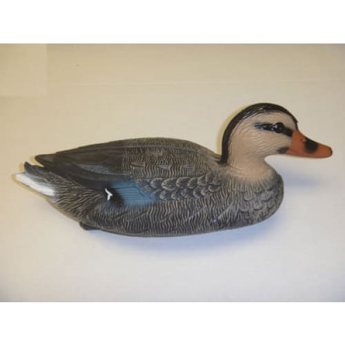 Floating Mallard Ducks - Female