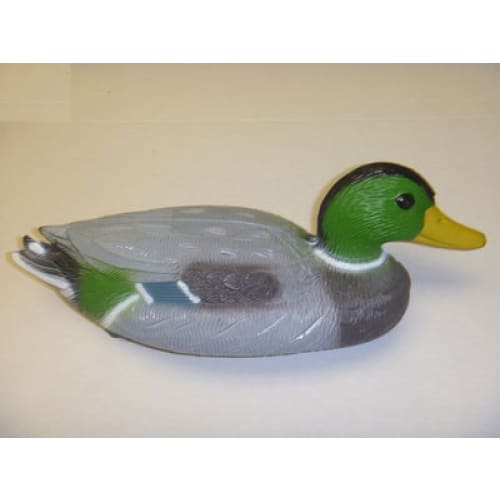 Floating Mallard Ducks - Male
