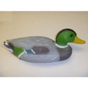 Floating Mallard Ducks - Male