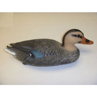 Floating Mallard Ducks - Female