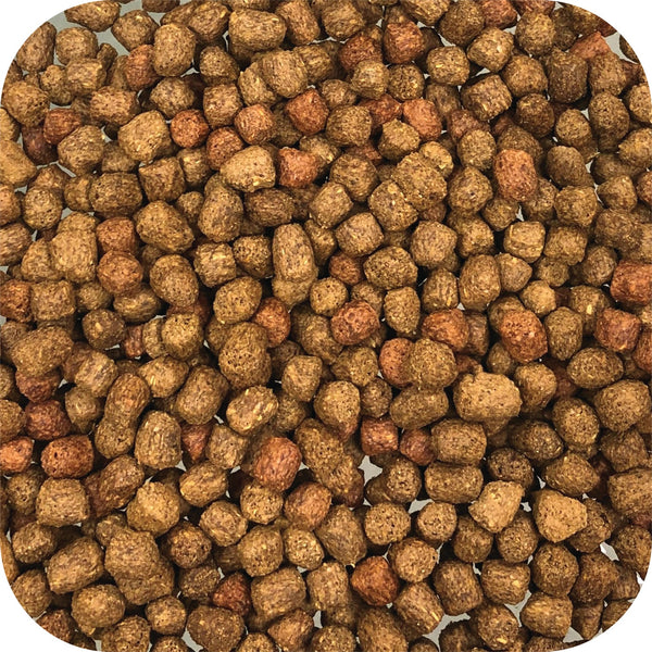 Microbe-Lift® Legacy Big Bites Floating Pellets - Food