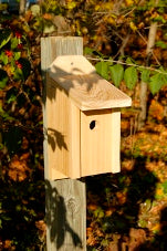 Wildlife Nest Boxes