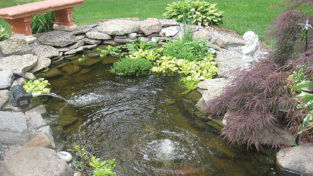 Pond Aeration