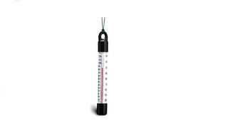 Pond Thermometers