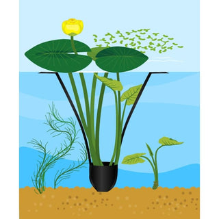 PondSling™ - Aquatic Pot with 28 Inch Long Floating