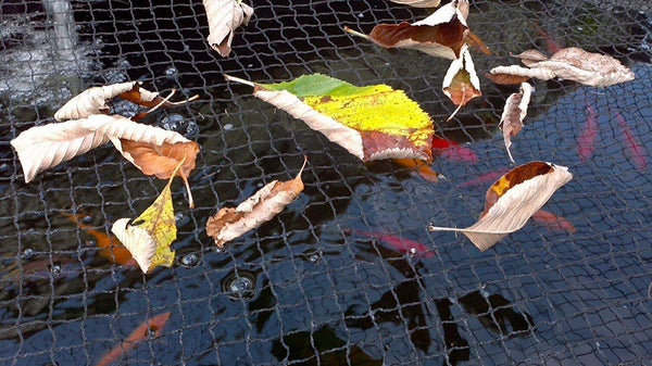 United Aquatics Pond Netting