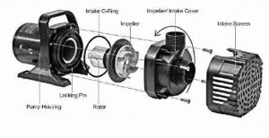 Vortex Impellers