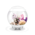 Atlantic® Oase BiOrb HALO Aquarium with Multi-Color Remote