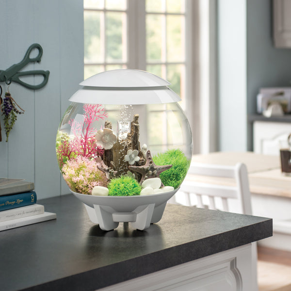 biOrb Plant Flower Ball Pink