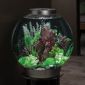 biOrb Easy Plant Set small green