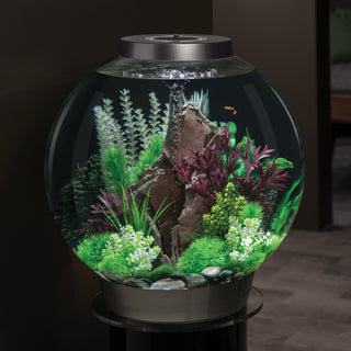 biOrb Plant Ambulia Grey & Green