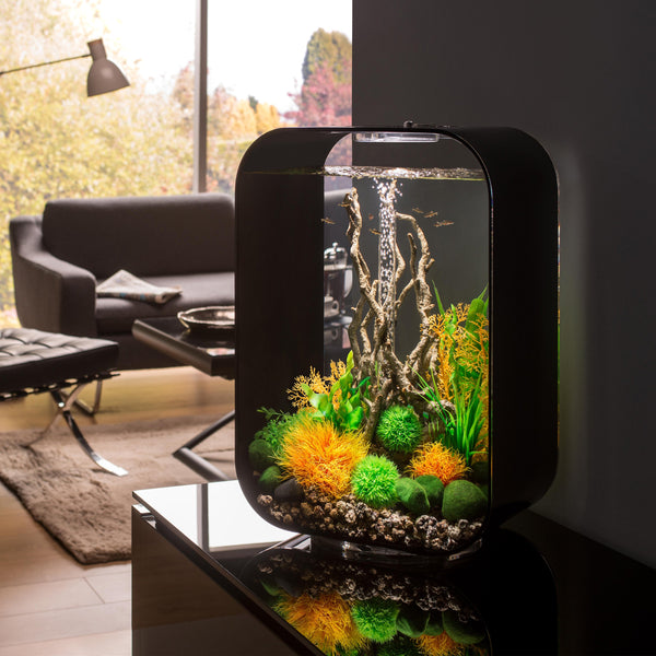 biOrb Plant Sea Fan medium orange