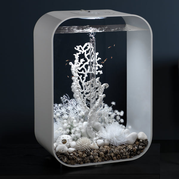 biOrb Plant Sea Lily White